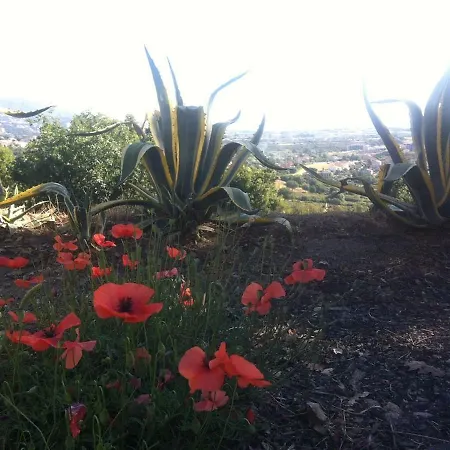 Apartamento Allee Des Aloes
