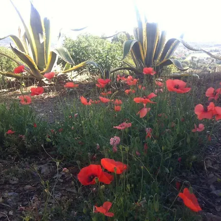 Allee Des Aloes *