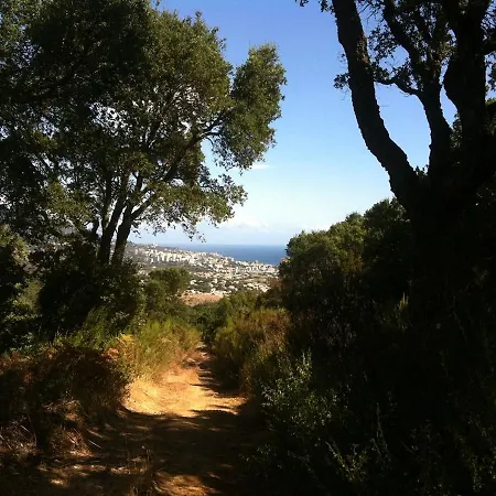 Allee Des Aloes *